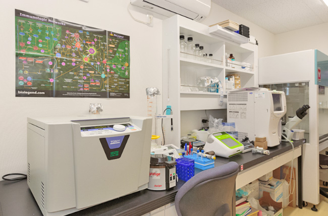 Laboratory for Head and Neck Immunology
